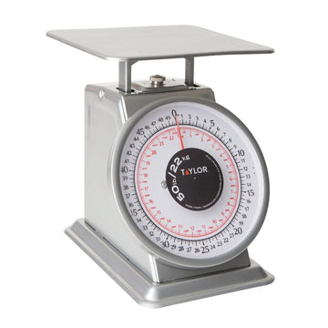 Taylor THD50 Stainless Steel Receiving Scale, 8 11/16" Wide - Default Title
