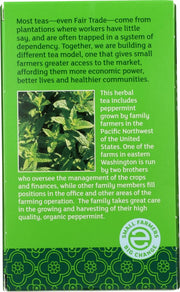 Herbal Peppermint Tea (6x20 Bag) by Equal Exchange – Model EQU50013