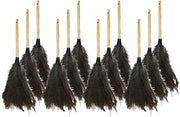 Genuine Joe Feather Duster (Pack of 12)