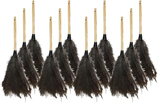 Genuine Joe Feather Duster (Pack of 12)