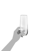 Stemless Champagne Flute Glasses by Libbey – 12 Count (Pack of 1), 0.25 liters, Glass, Clear, Pack of 12