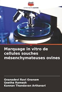 Marquage in vitro de cellules souches mésenchymateuses ovines (French Edition)