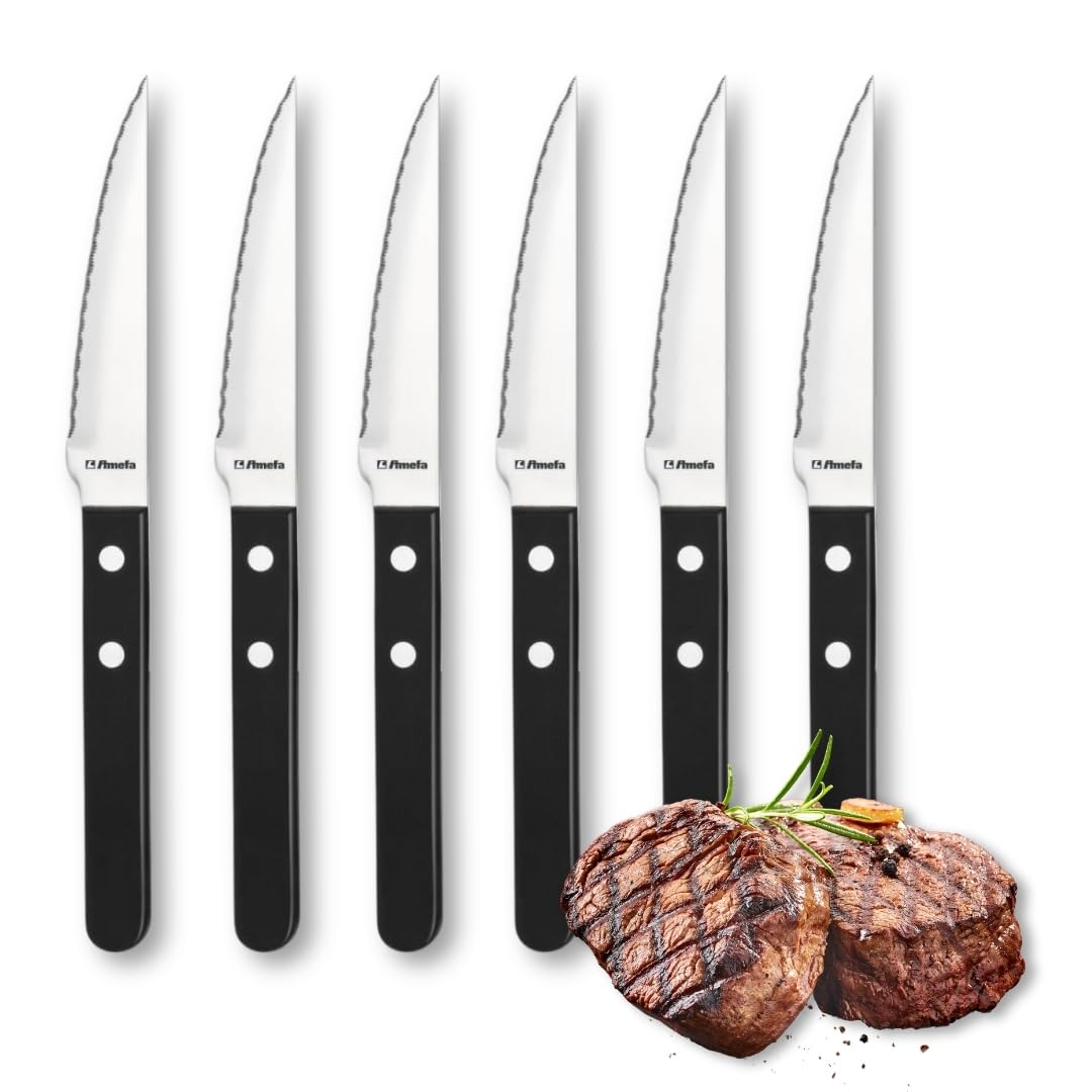Retail Knife Black Set by Amefa – Steakbesteck Set für 6 Personen, schwarz, Stainless steel, plastic, Silver, Black, Pack of 6, Model STEAK