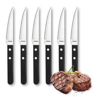 Retail Knife Black Set by Amefa – Steakbesteck Set für 6 Personen, schwarz, Stainless steel, plastic, Silver, Black, Pack of 6, Model STEAK