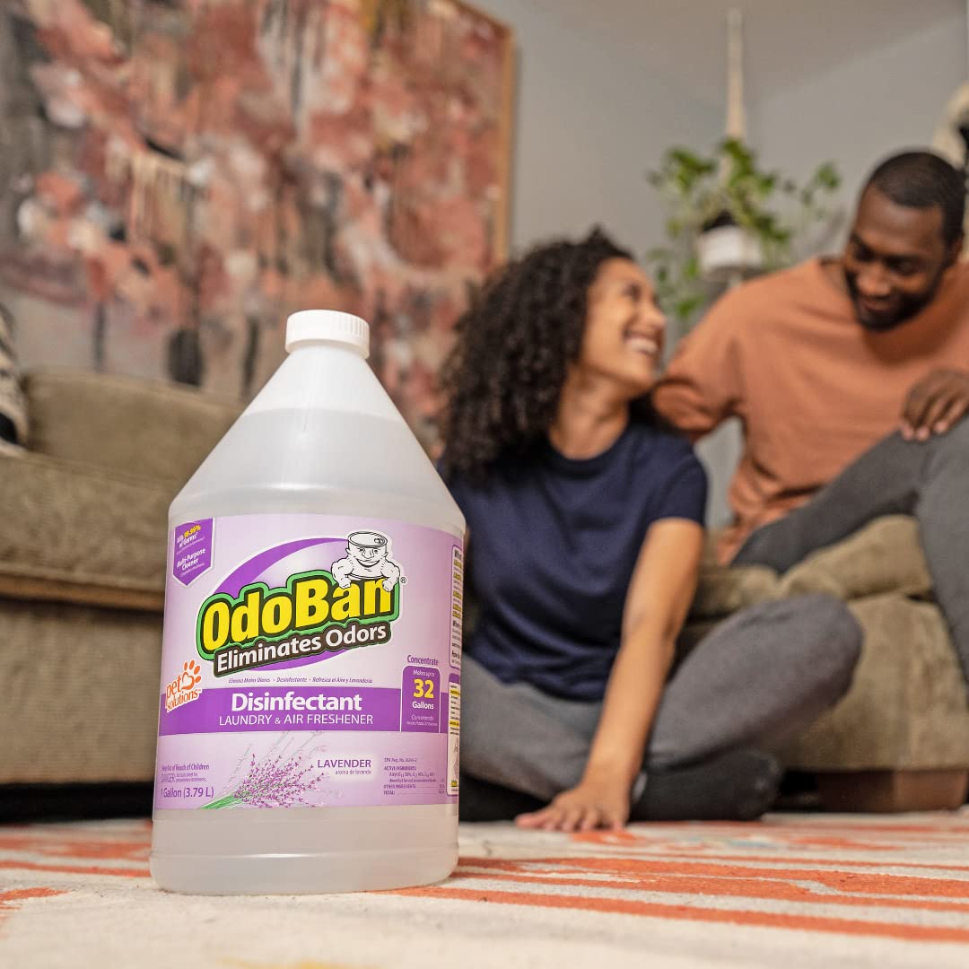 Disinfectant Concentrate and Odor Eliminator by OdoBan – 128 Fl Oz (Pack of 1), plastic, Clear, Model 911162-G4 /DM