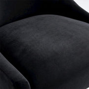 Velvet-Upholstered Side Chair with Gold Legs by Starlight Canyon Home – Velvet, Black