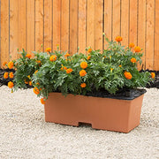 ® Container Gardening System - Terra by EarthBox – 29 inches L x 13.5 inches W x 11 inches H, 3 gallons, Plastic, Terra, Model 80205