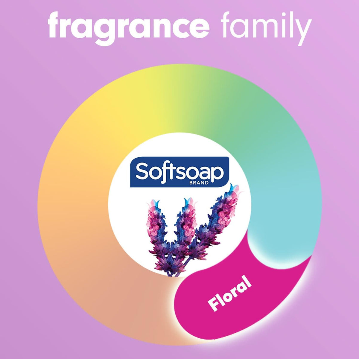 Softsoap 11.25 Fl Oz (Pack of 4) / Lavender / No Color Hand Wash
