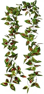 Artificial Vine, Fixed Shape Decor, Style to 1 | Sturdy Construction, Vine Garland, Interior Decorating, For Display Creators