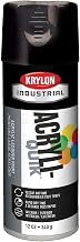 Krylon Decorator Black Gloss Indoor/Outdoor Aerosol Spray Paint (12 oz)