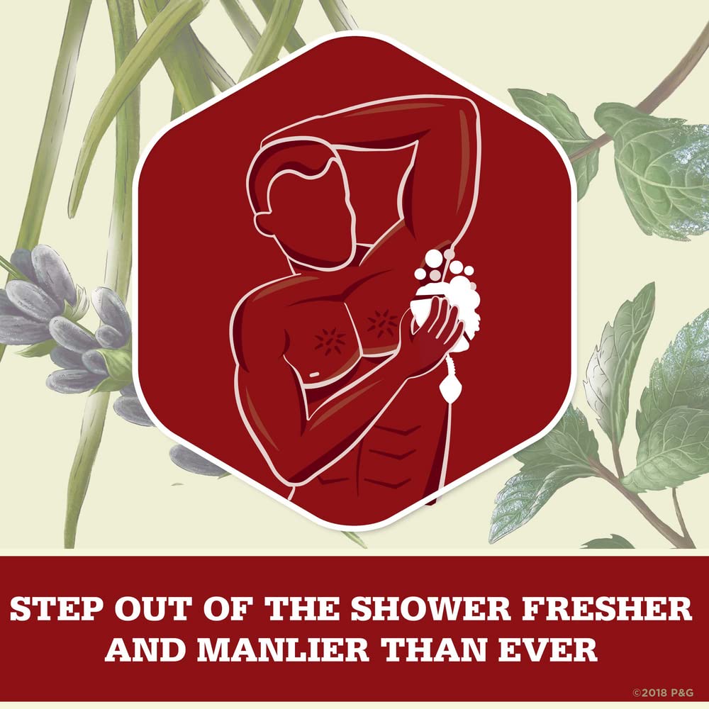 Old Spice 64 Fl Oz (Pack of 1) / Sandalwood / Timber Body Wash, 4 Pack Body Washes