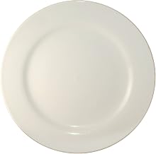 ITI-RO-9 Roma 9-3/4-Inch Plate, 24-Piece, American White