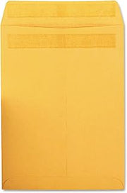 Quality Park Catalog Envelope, Redi-Seal, Brown Kraft, 9 x 12, 100 per Box, (43567)