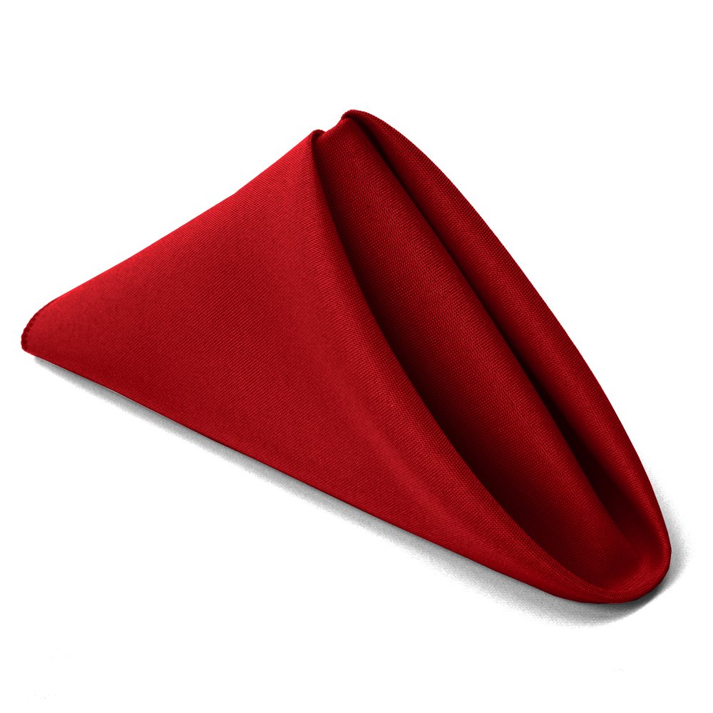 TableLinensforLess Cloth Napkins, 20x20 Inches, 12 Pack, Thanksgiving