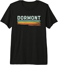 Vintage Stripes Dormont PA Premium Tri-blend T-Shirt