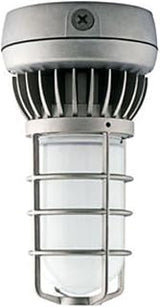RAB Lighting VXLED13DG VAPORPROOF LED 13W Ceiling Frosted GL Globe DIECAST GD