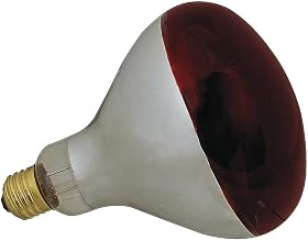 FMP Red Glass 250 Watt Uncoated Food Warming Bulb