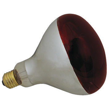 FMP Red Glass 250 Watt Uncoated Food Warming Bulb by FRANKLIN MACHINE PRODUCTS (FMP) – Glass, Red, Model 253-1122