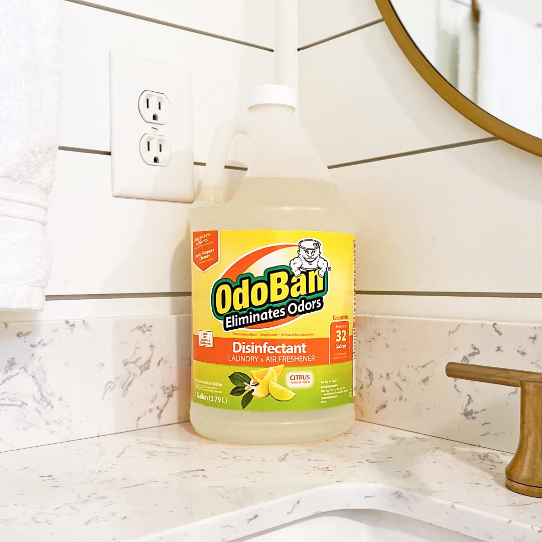 Disinfectant Concentrate and Odor Eliminator by OdoBan – 128 Fl Oz (Pack of 2), Plastic, Clear, Pack of 2, Model 911661