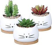 Koolkatkoo 3.2 Inch Cute Cat Ceramic Succulent Planter Pots with Removable Saucer Unique Cactus Planters Porcelain Decorative Flower Pot for Cat Lovers Set of 3 White