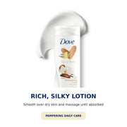 Pampering Care Body Lotion 13.5 OZ by Dove – 1 Fl Oz (Pack of 1), Model Dove Pampering Body Lotion