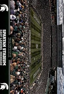 2016 Panini Michigan State #4 Football Spartan Stadium