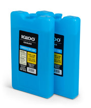 Igloo 2PK Large / Large / 0.0 liters Cooler Accessories