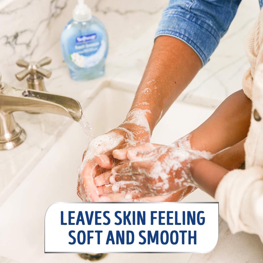 Softsoap Fresh Breeze / 7.5 Fl Oz (Pack of 1) / No Color Hand Wash