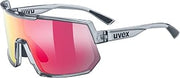 Uvex Men's Casual Sunglasses