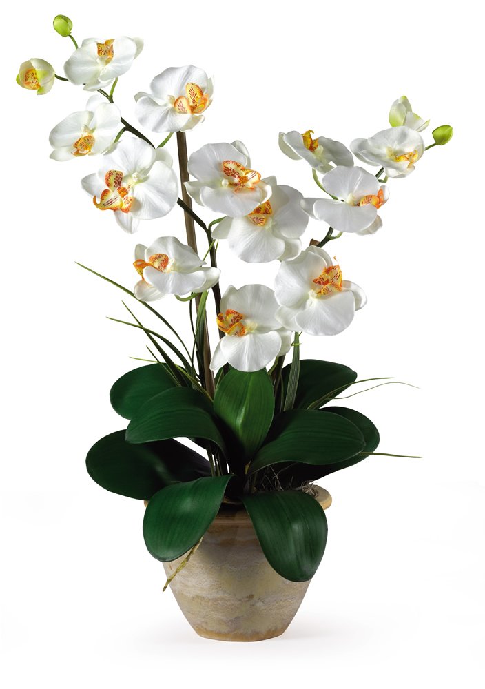 Nearly Natural Cream / 29 in x 10.25 in x 10.25 in / 1 Flowers