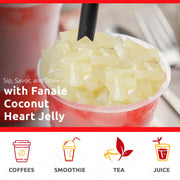 Coconut Jelly Topping nata de coco for Bubble Tea 400 g | Coconut Flavor Jelly | for Boba Tea by Fanale – 400 g (Pack of 1)