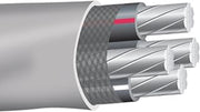 Southwire 250 ft. 4/0-4/0-4/0-2/0 Gray Stranded AL SER Cable