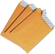 Quality Park 6 x 9 Catalog Mailing Envelopes, Redi-Strip Self Seal Envelope Closure, 28 lb Kraft Paper, 100 per Box (QUA44162)