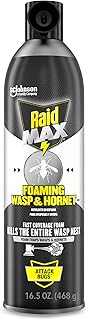 Raid MAX Foaming Wasp & Hornet Killer, Fast Coverage Foam, Outdoor Bug Spray, 16.5 oz
