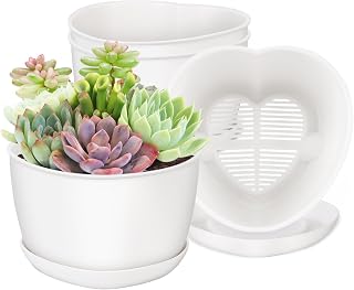 Succulent Pots Heart-Shaped Shallow Herb Planters with Drainage Hole - 4 Packs Cactus Planter for Home Office Garden Plants Pot Present - Plants Not Included (Off White)