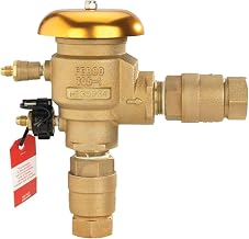 Febco 765 Bronze Pressure Vacuum Breaker Backflow Preventer 1" Inlet