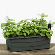 Junior Garden Kit by EarthBox – 1.15 gallons, dolomite, Green, Model 80601.01