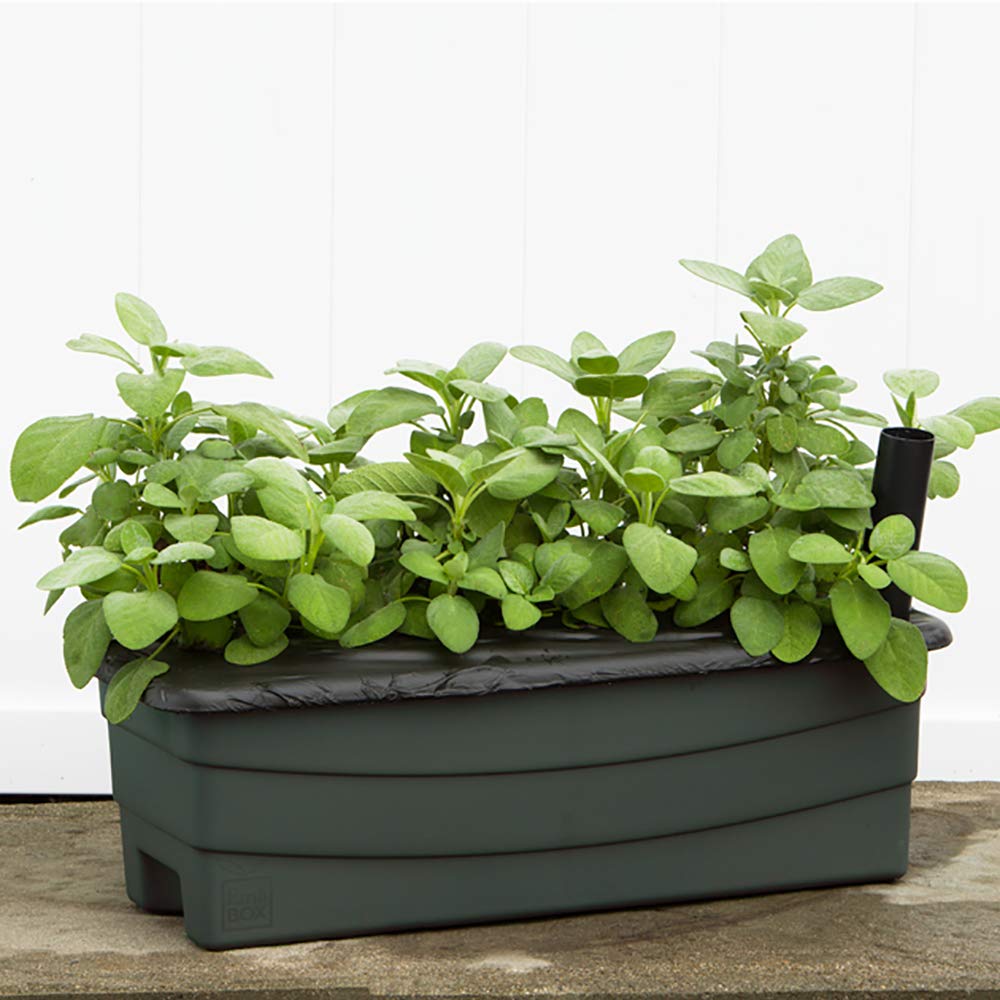 Junior Garden Kit by EarthBox – 1.15 gallons, dolomite, Green, Model 80601.01