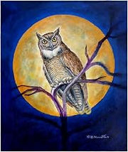 Betsy Drake Owl in Moon Throw