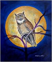 Betsy Drake Owl in Moon Throw