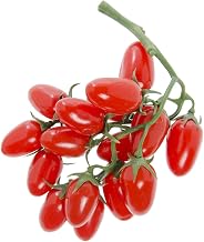 Artificial Cherry Tomatoes on Vine Red Plastic - 8" L