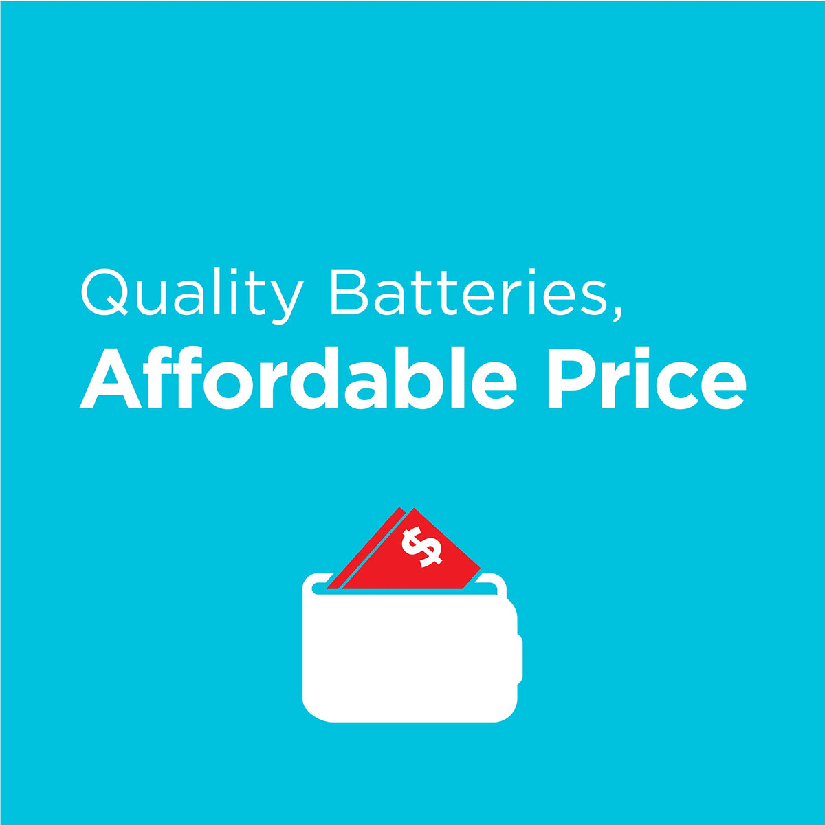 AAA Batteries by Rayovac – 1 Count (Pack of 1), Aluminum, Blue, Model E-E51783