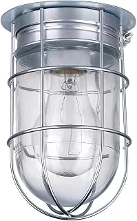 Canarm Outdoor Silver Barn Light, Industrial Wall or Ceiling Mount Sconce, 7-Inch Damp Rated Fixture for Porch, Patio, or Entryway