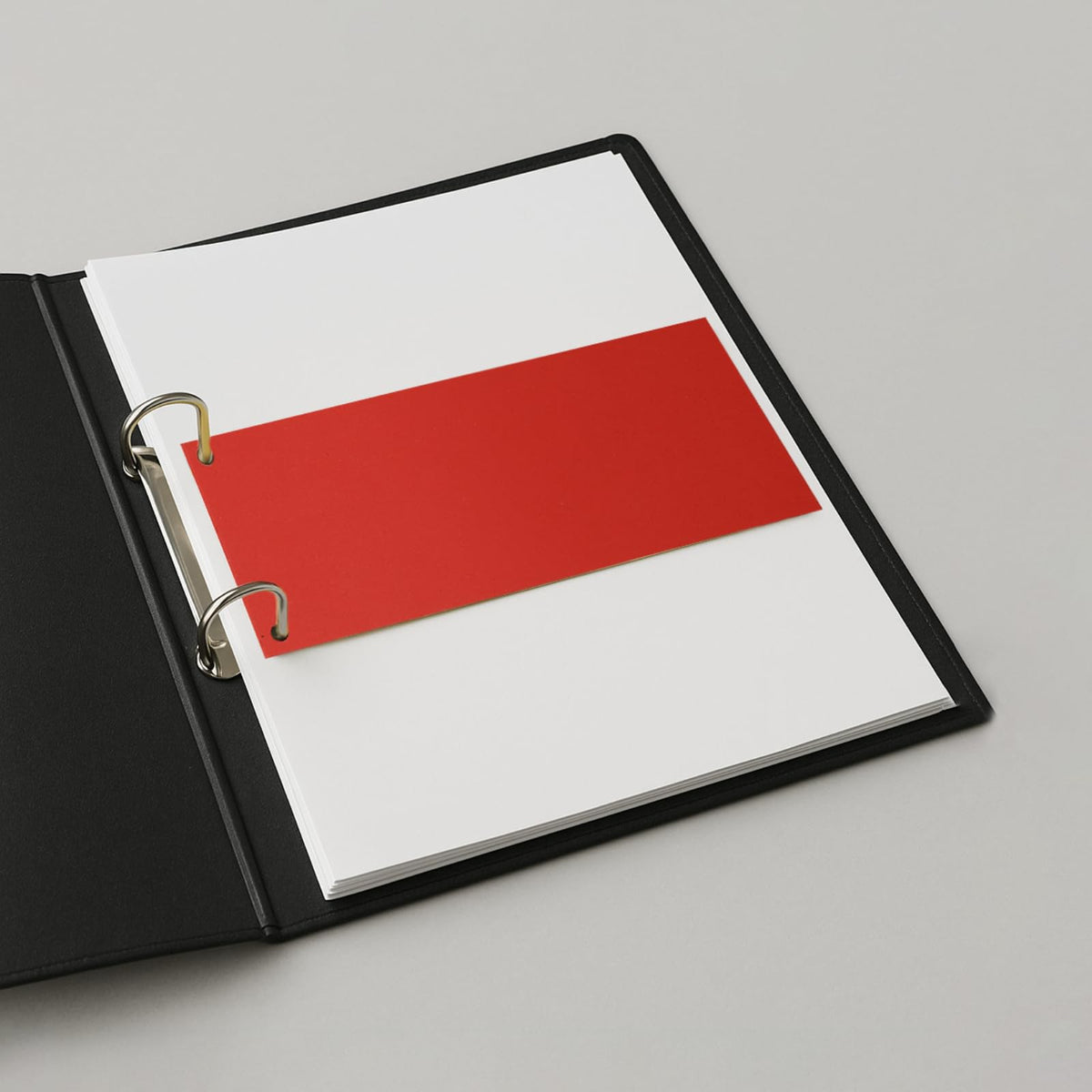 Divider Strips by Westcott – Paper, Intensive Colours Mix, Pack of 30, Model E-733320 00