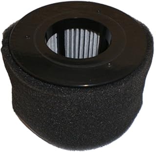 Bissell Poweredge 81L2 Series Filter Pack, New OEM Part, 54A2, Black