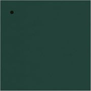Elegant Lighting Melamine Green Wood Finish Sample