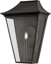 Troy Lighting B2921-FRN Tehama - 1 Light Exterior 20.5 inches Tall and 15 inches Wide - French Iron Finish