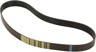 Carpigiani Belt Poly V 960 J38 12N