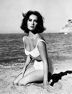 Elizabeth Taylor by Hollywood Photo Archive - 11x14 Art Print Poster