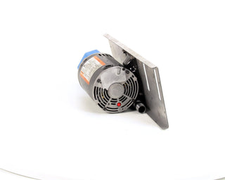 115V/230V Pump Filter by Pitco – Model B6683203-C